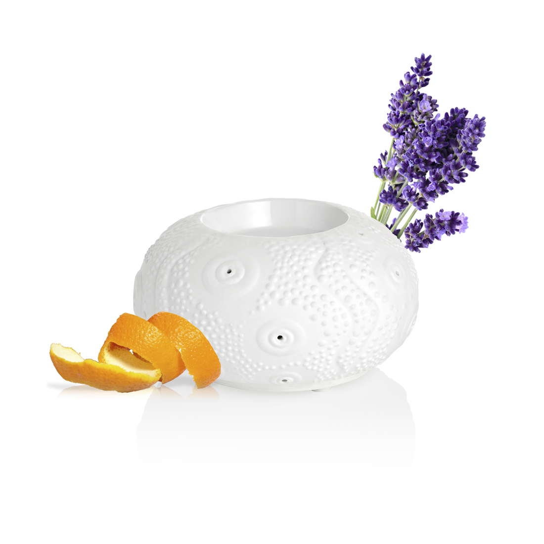 Puress diffuseur calvi