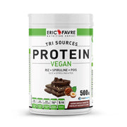 Eric Favre Protein Vegan Chocolat Noisette 500g