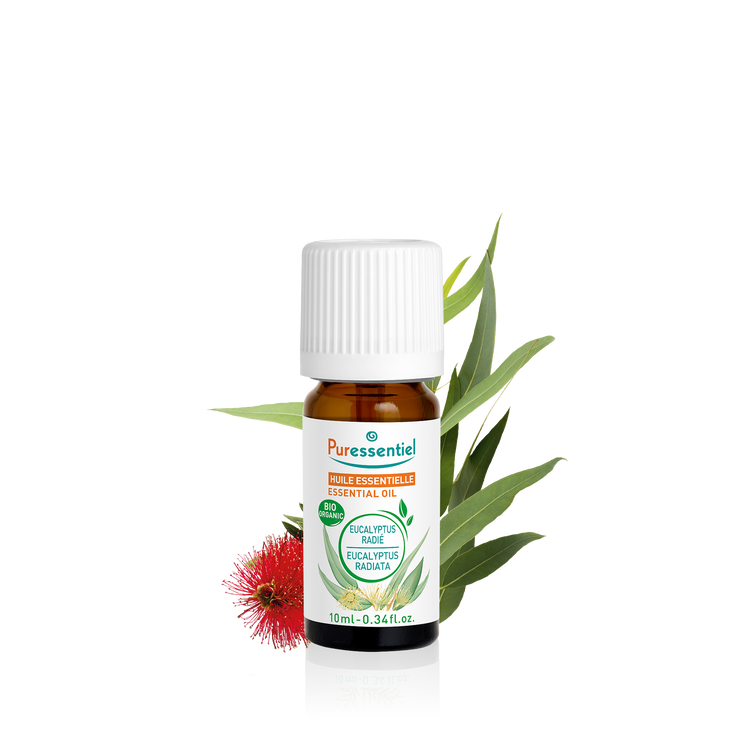 Puress he eucalyptus radie bio 10ml