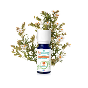 Puress he ciste ladanifere 5ml