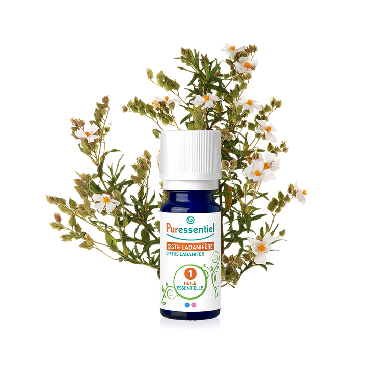 Puress he ciste ladanifere 5ml