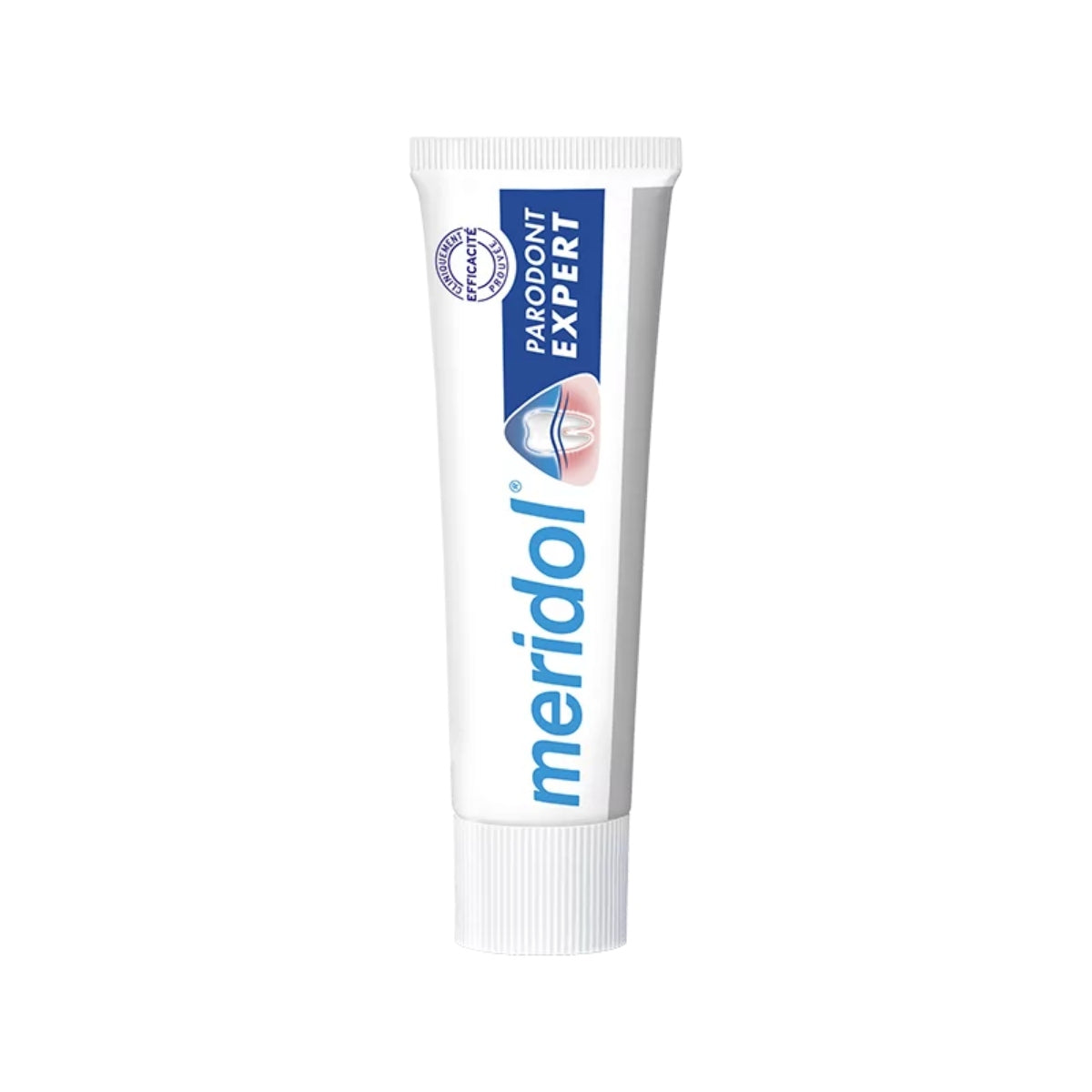 Meridol Dentifrice Parodont Expert Original 75 ML